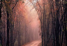 jinnianhui金年会首页:西甲第9輪國家德比 皇家馬德裏vs巴塞羅那前瞻.