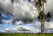 金年会体育官网：西漢姆鎖定菲爾克魯格和杜蘭，兩位球員要價均為3000萬歐元.