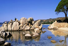 金年会体育官网入口:西班牙前鋒阿斯帕斯狠批前帥!沒B計劃!.